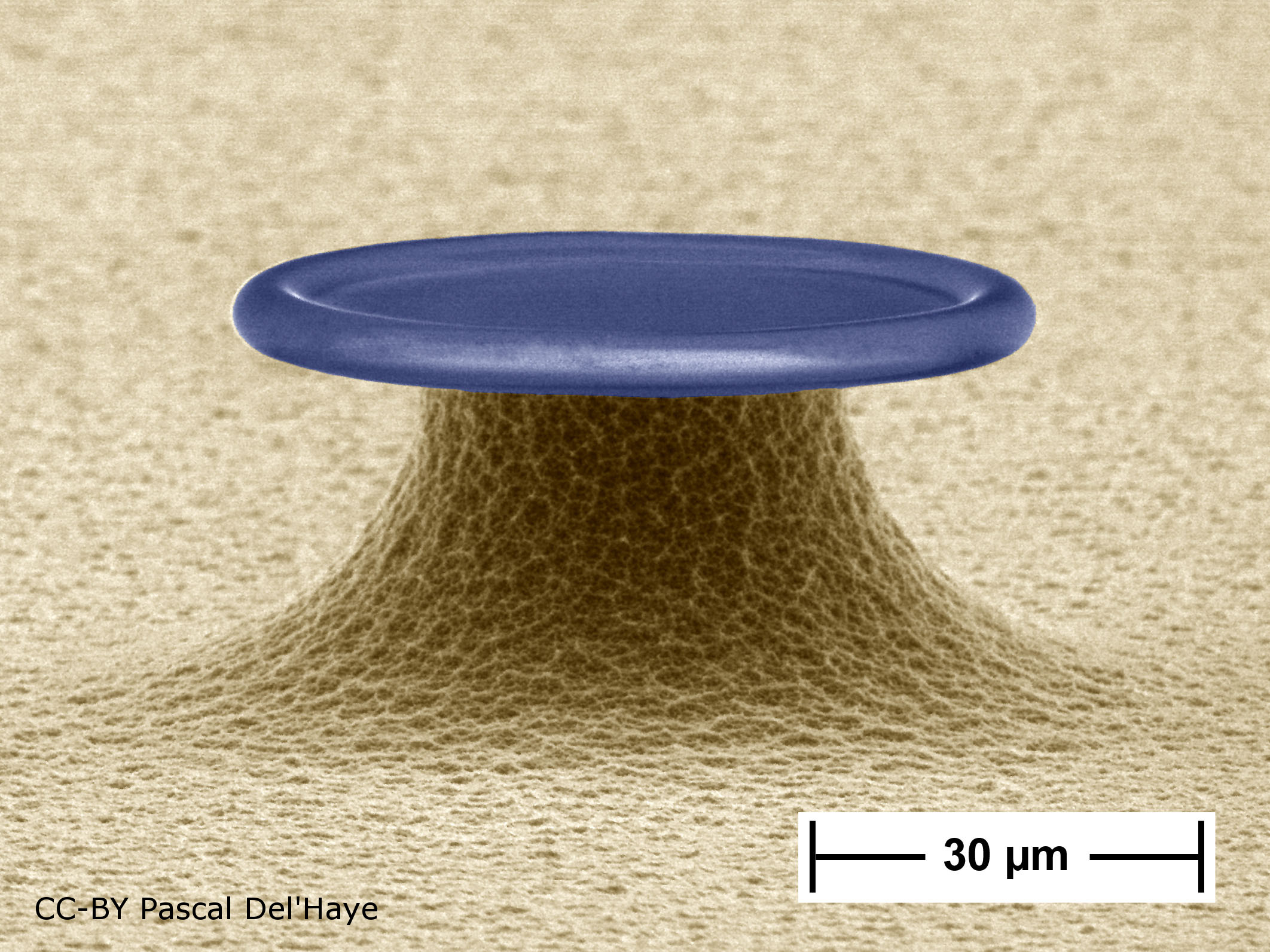 Ultra-high-Q toroid microcavity on a chip